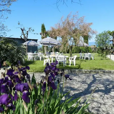 Appartamento Rosa Tea 6 Lazise